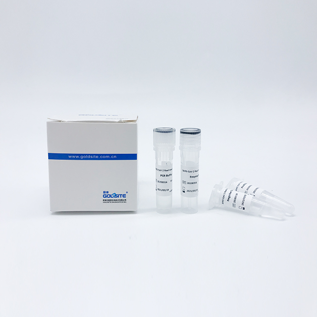 Kit SARS-CoV RT-PCR